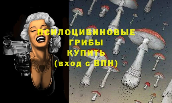 сатива Волоколамск