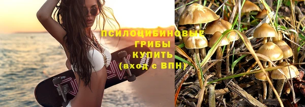 сатива Волоколамск