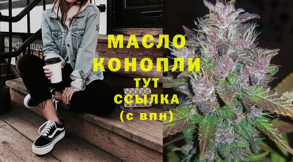 сатива Волоколамск
