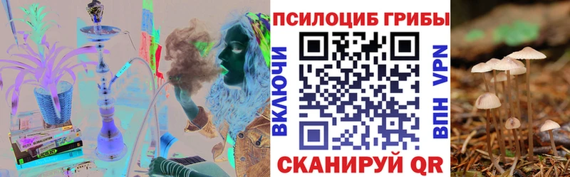 Купить  Салаир  Галлюциногенные грибы GOLDEN TEACHER 